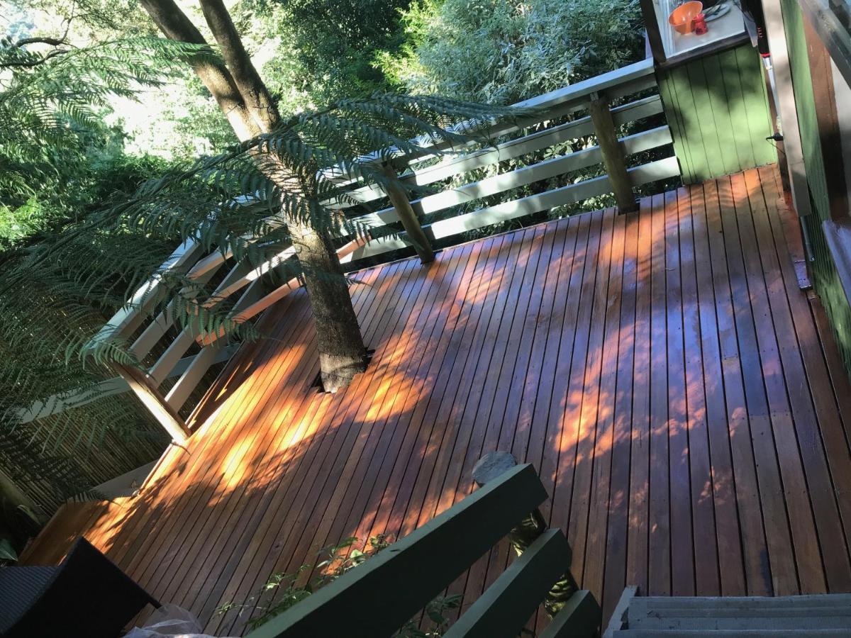 Sassafras Treehouse Private Home In The Dandenong Ranges, Victoria Luaran gambar