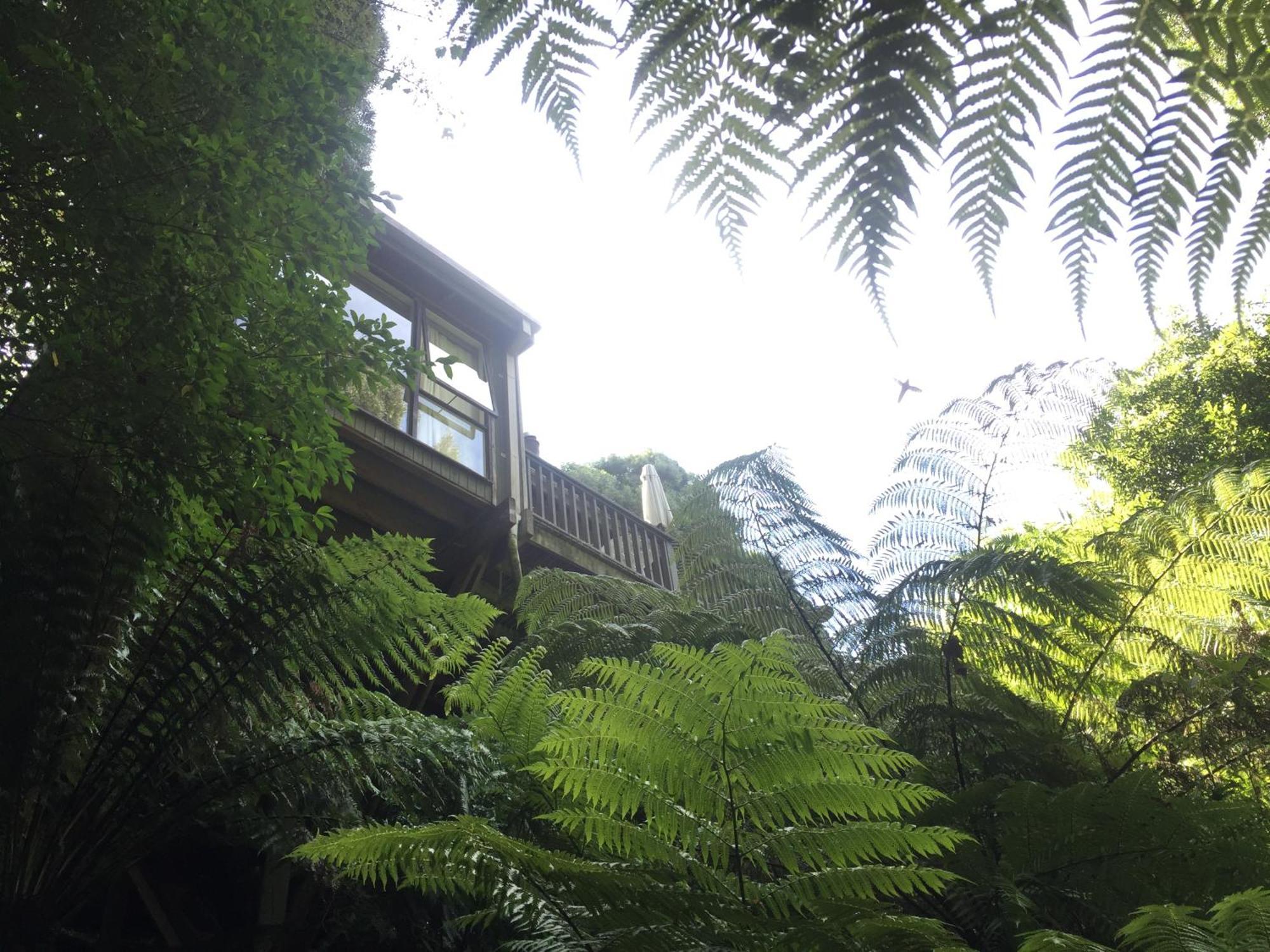 Sassafras Treehouse Private Home In The Dandenong Ranges, Victoria Luaran gambar