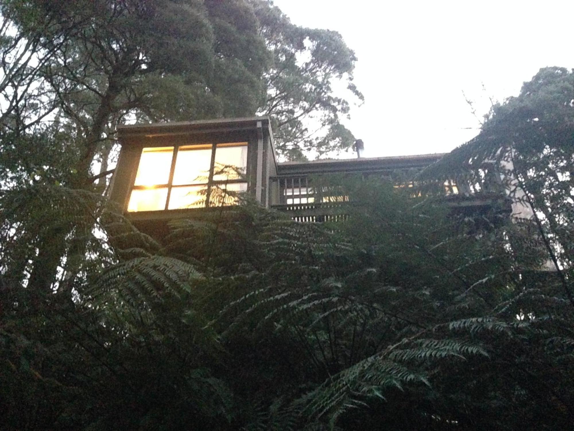 Sassafras Treehouse Private Home In The Dandenong Ranges, Victoria Luaran gambar