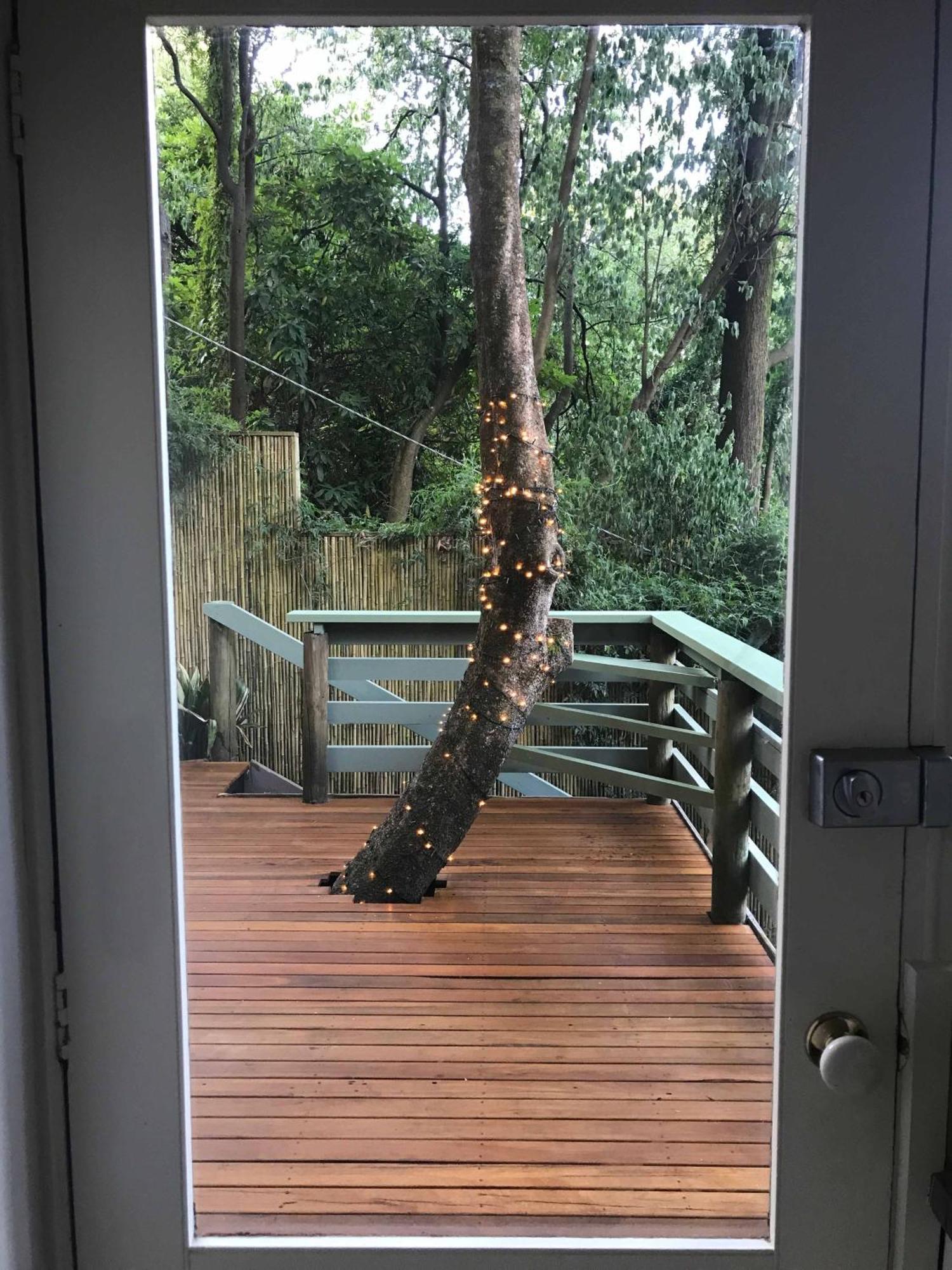 Sassafras Treehouse Private Home In The Dandenong Ranges, Victoria Luaran gambar
