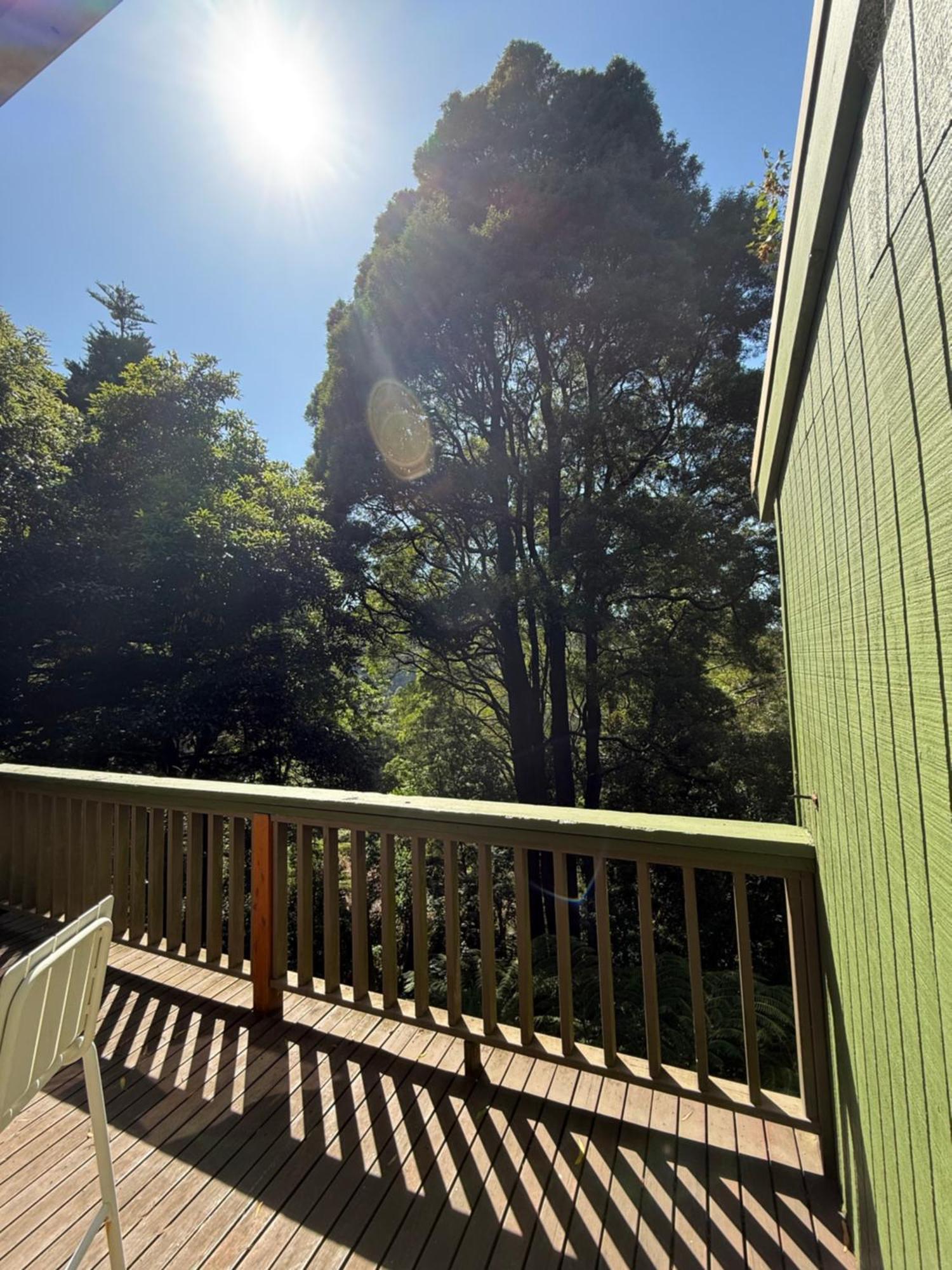 Sassafras Treehouse Private Home In The Dandenong Ranges, Victoria Luaran gambar